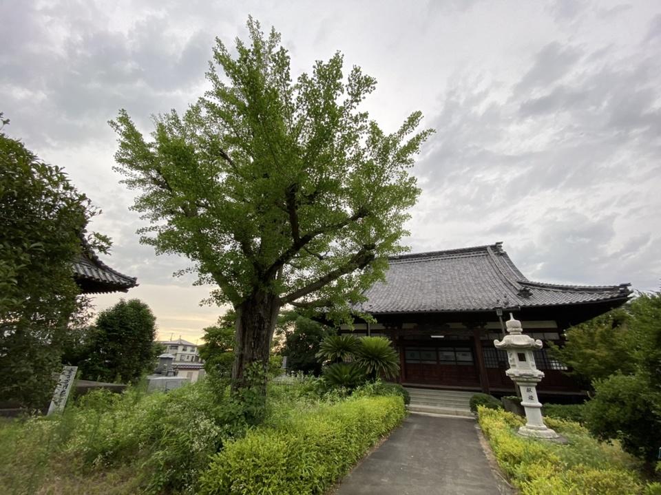 垂水城
