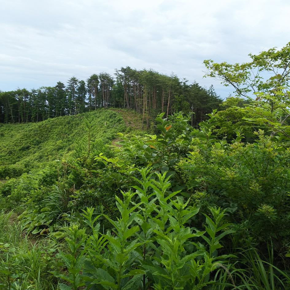 蠣崎城