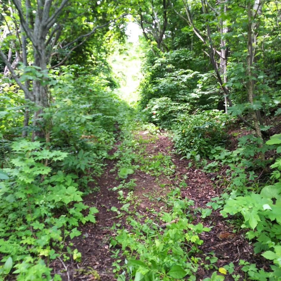 唐川城