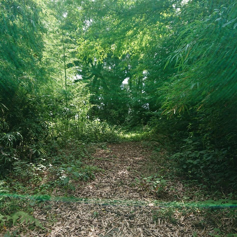 庁南城