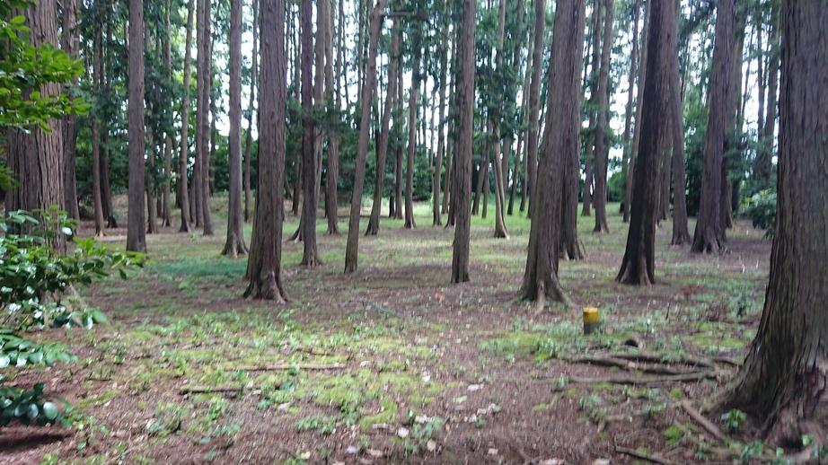 源経基館