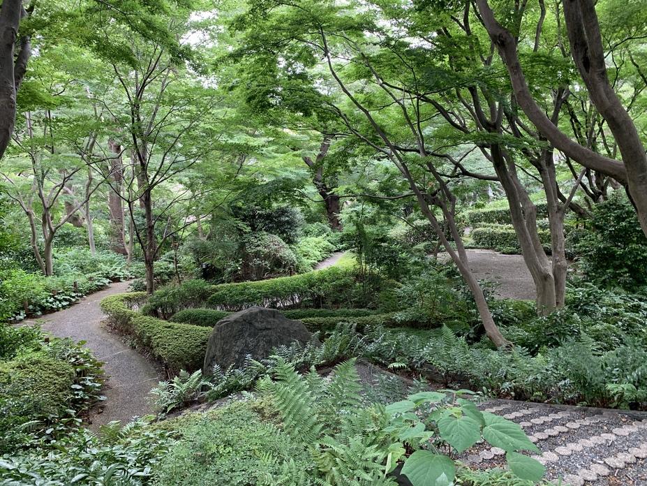 御殿山城