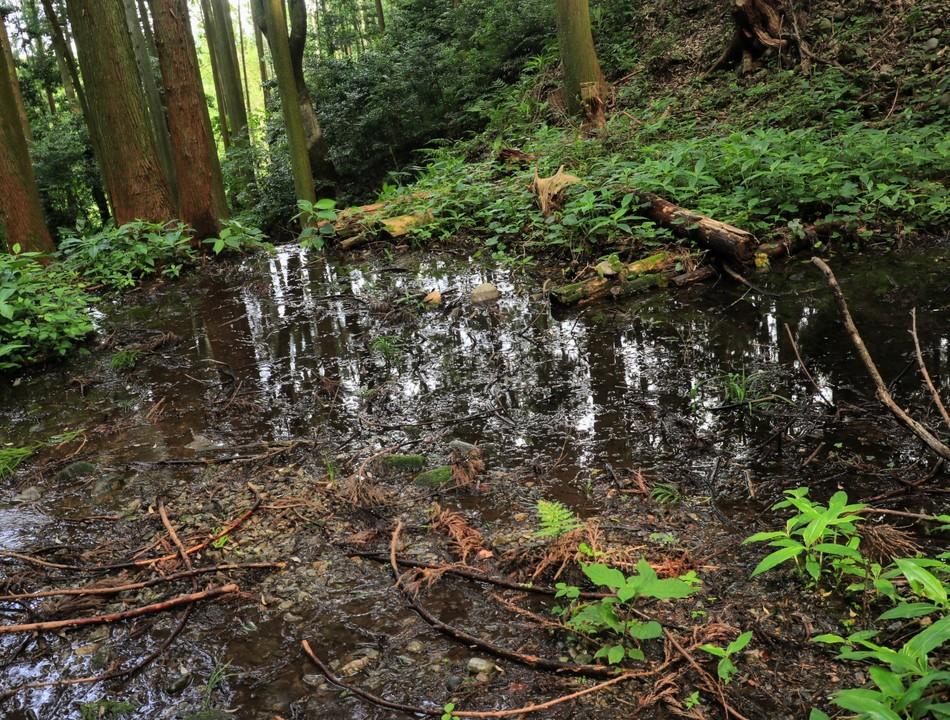 諏訪原城