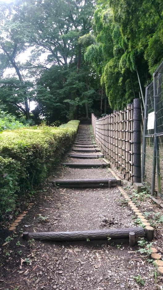 赤山城