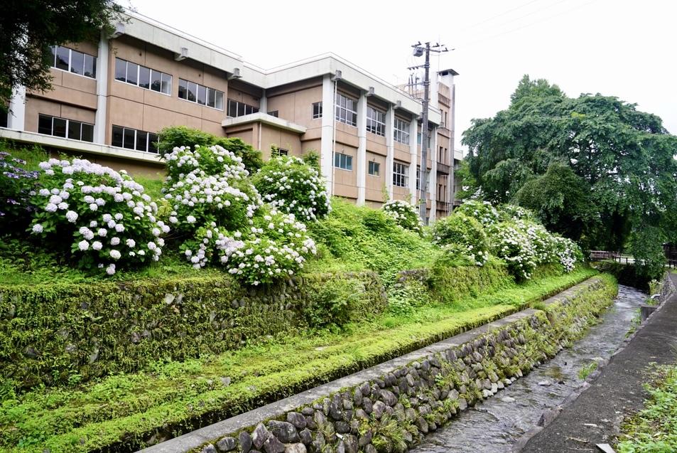 伊王野城