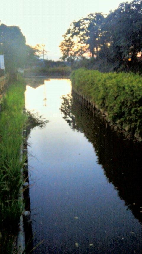 撫川城