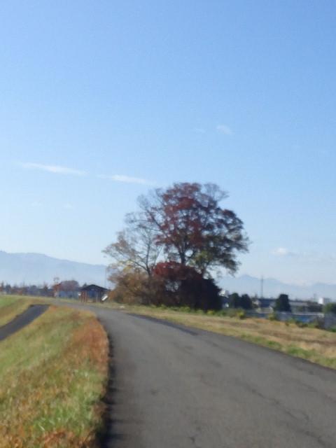 長沼城