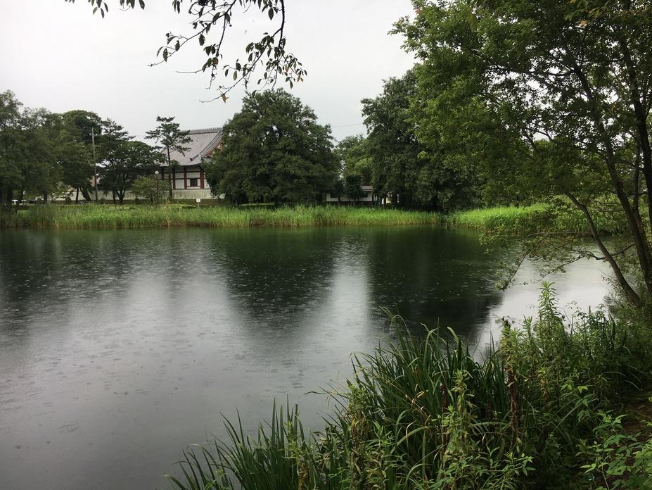 曽根城