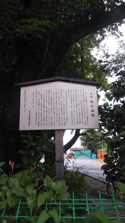 柏の城