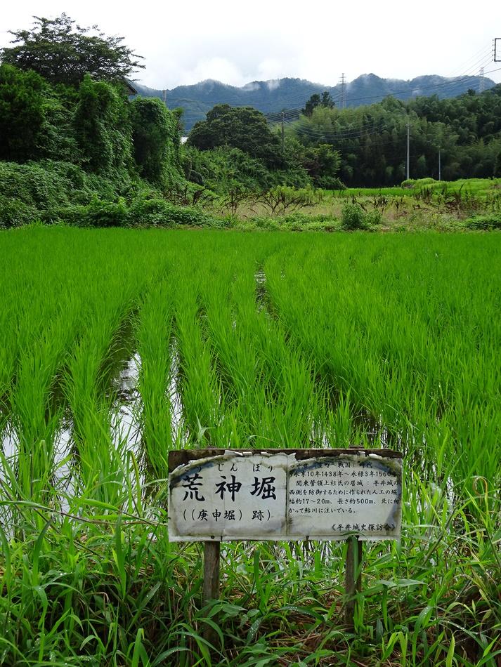 平井城