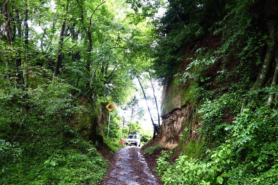 大井城