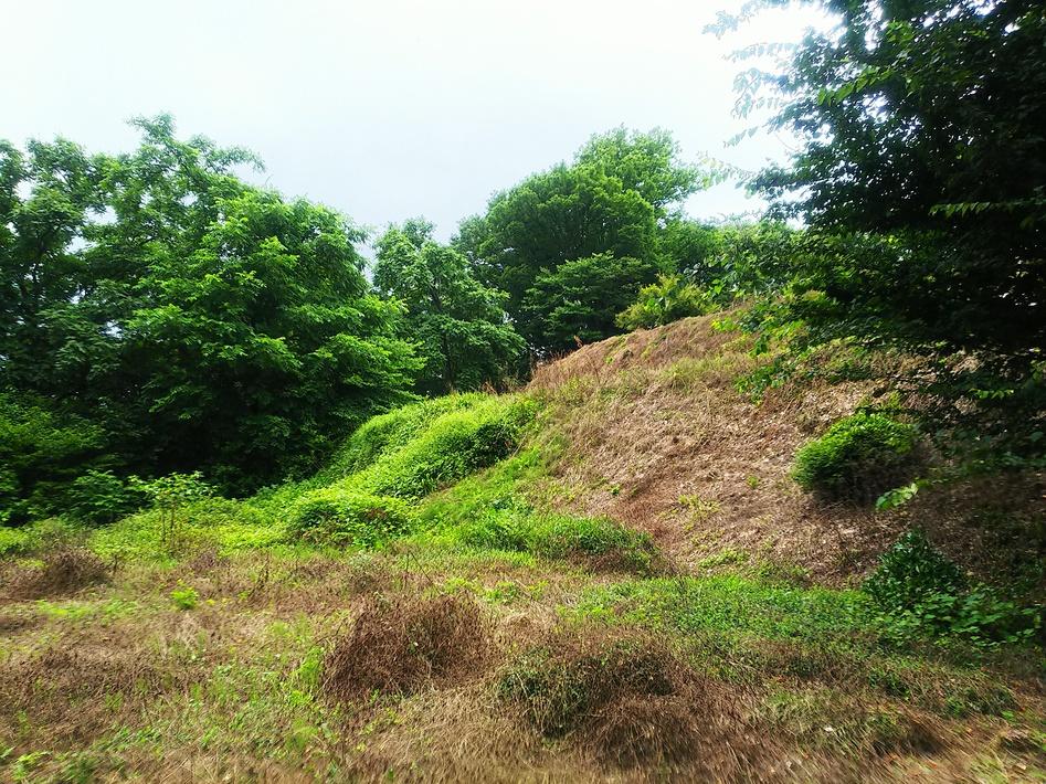 長谷堂城