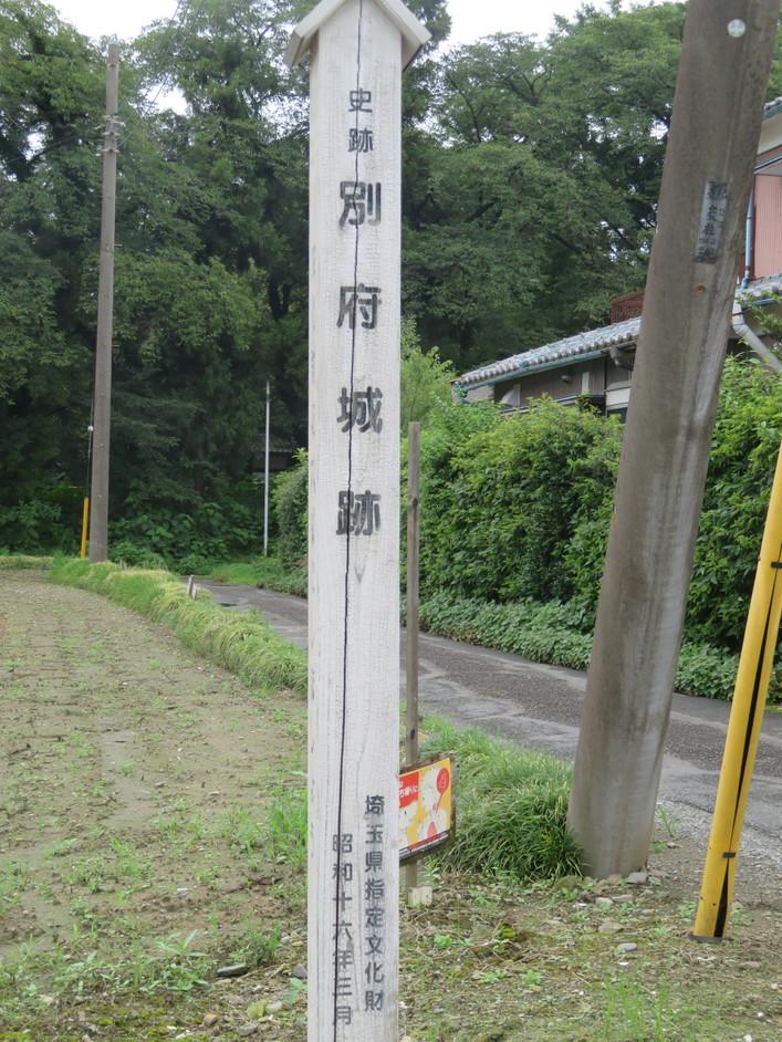 別府城
