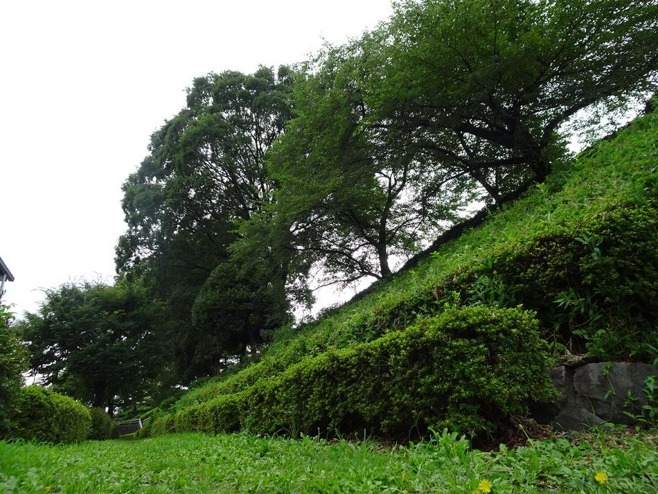 藤岡城