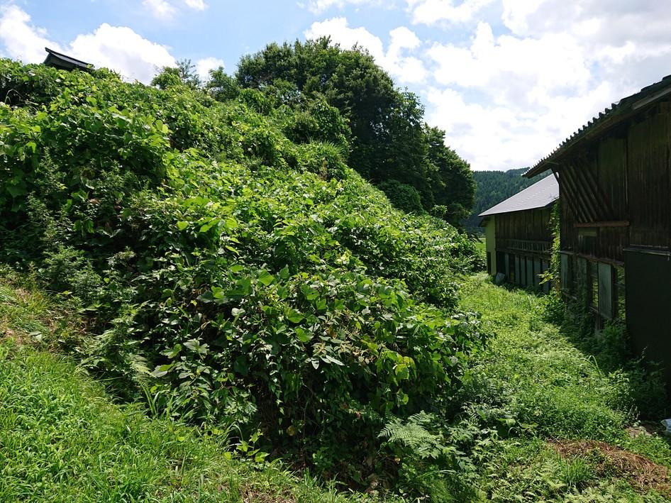 岩井出館