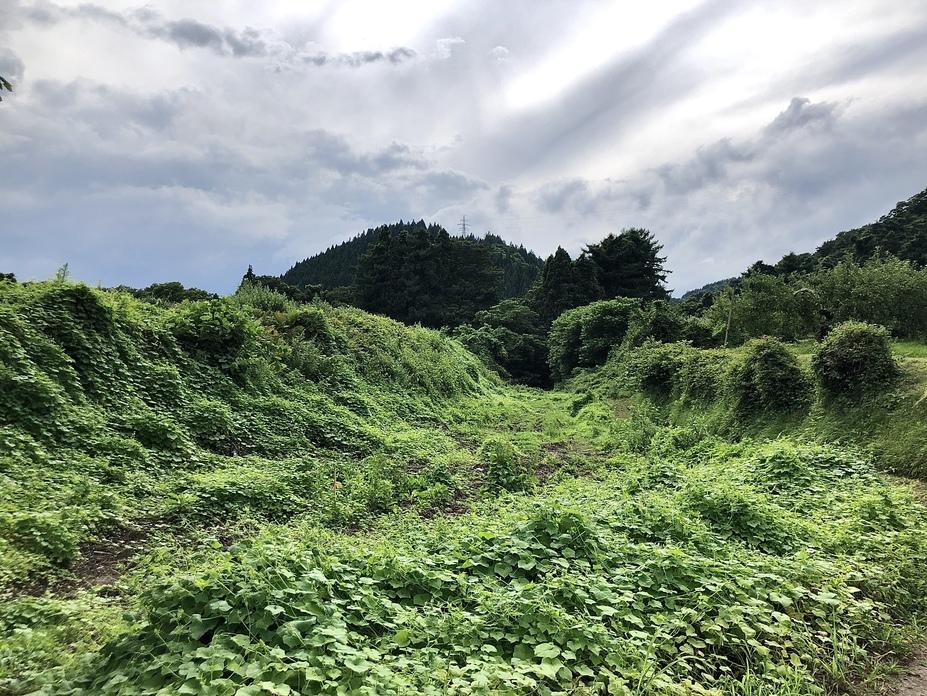 聖寿寺館