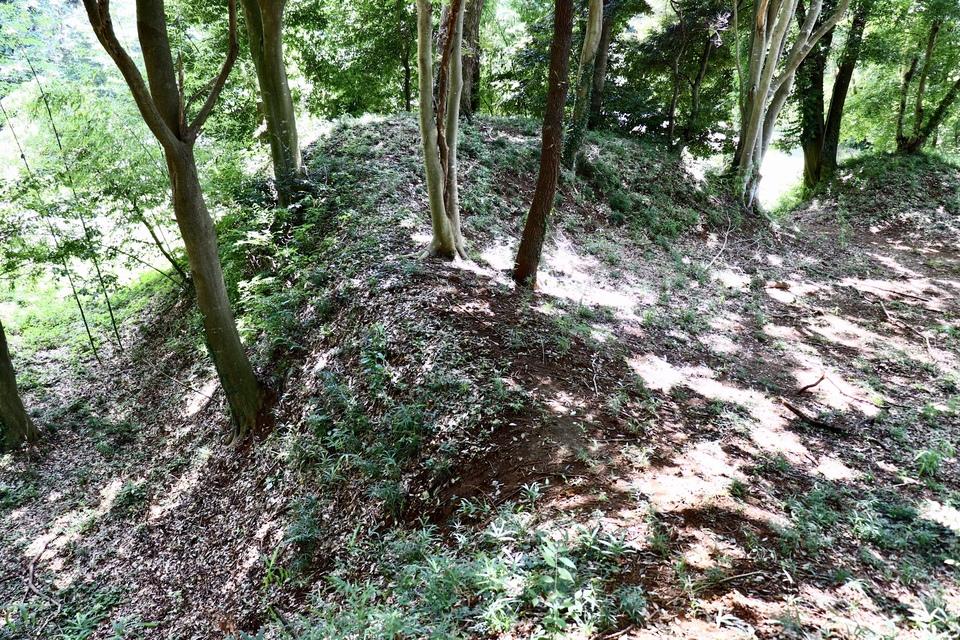 小坂城