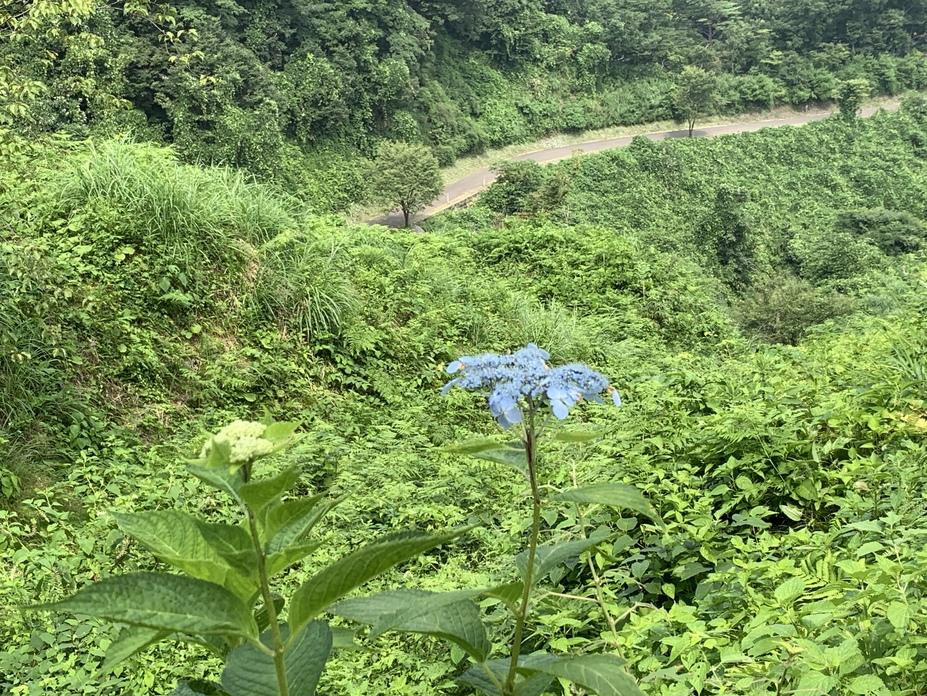 春日山城