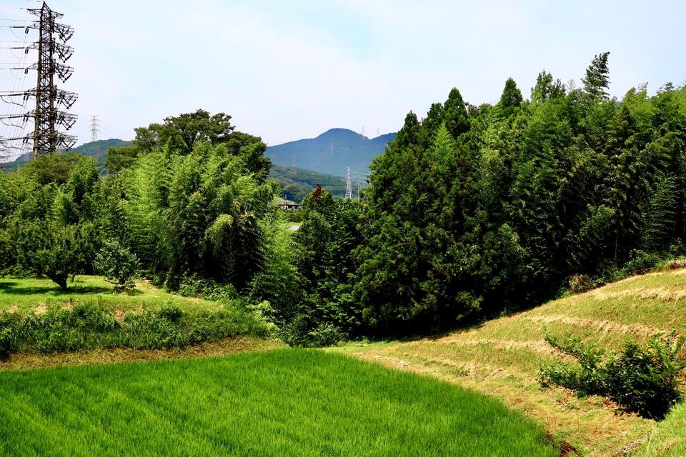 波多野城