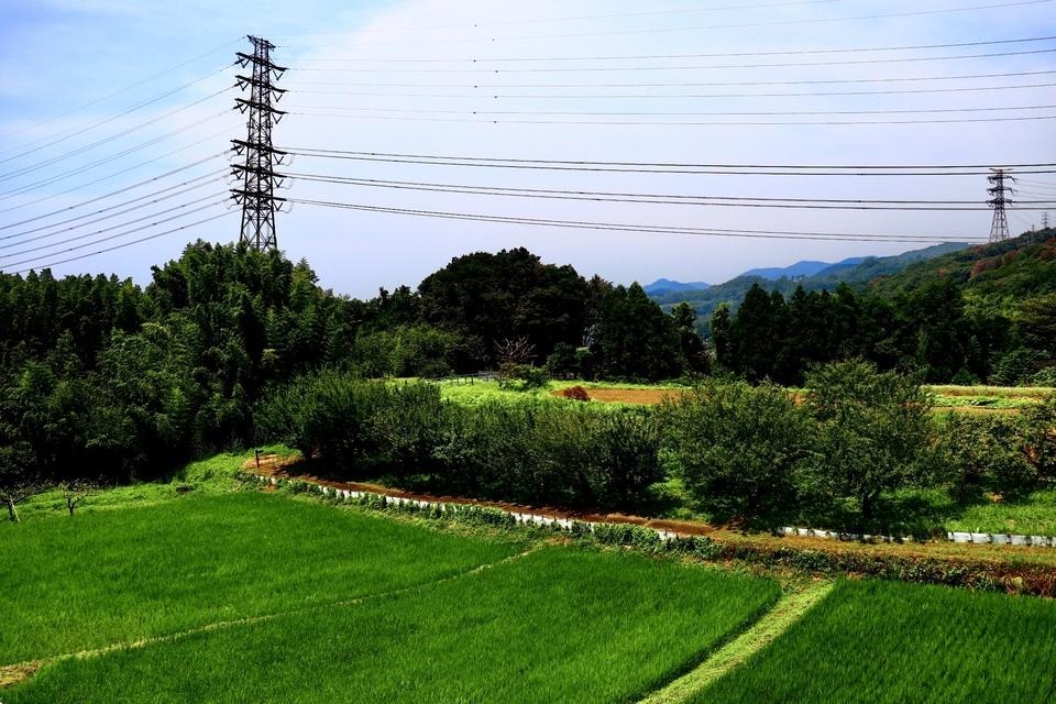 波多野城