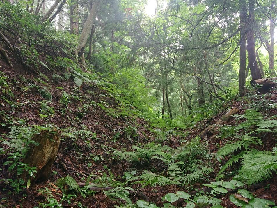 白岩城