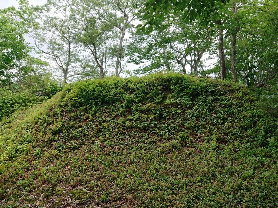 戸沢城