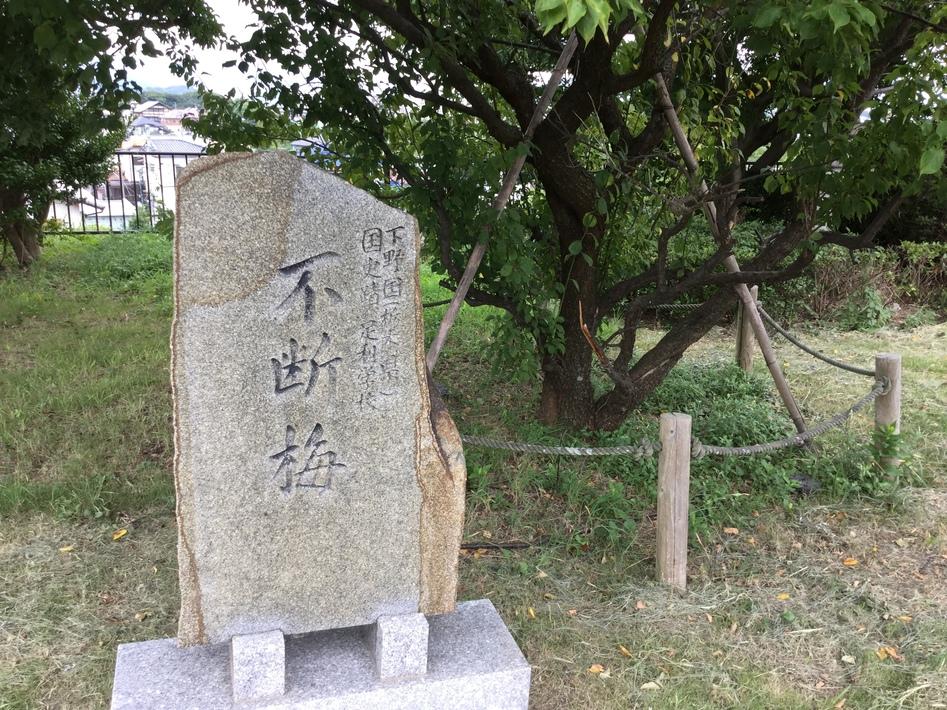 名島城