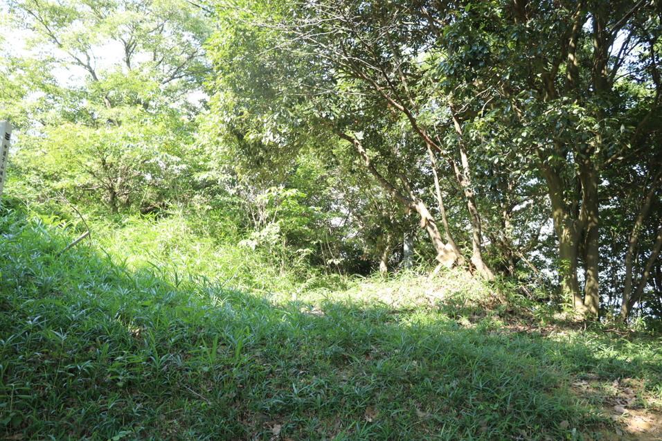 中道子山城