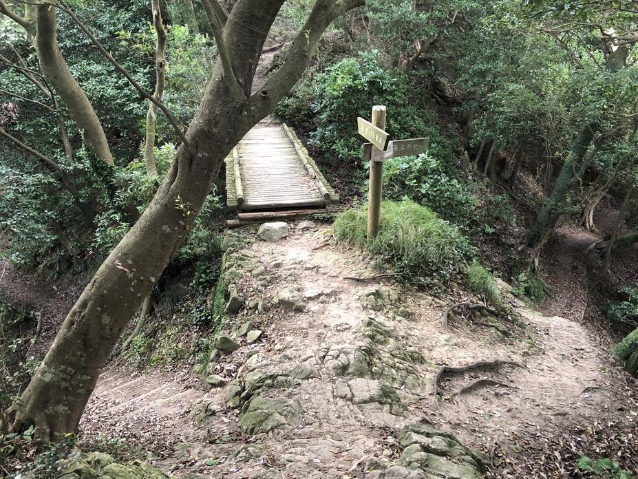 高麗山城
