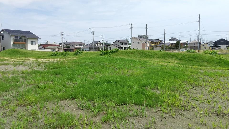 富沢館