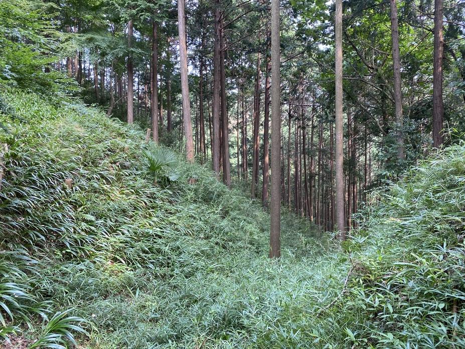 葛山城