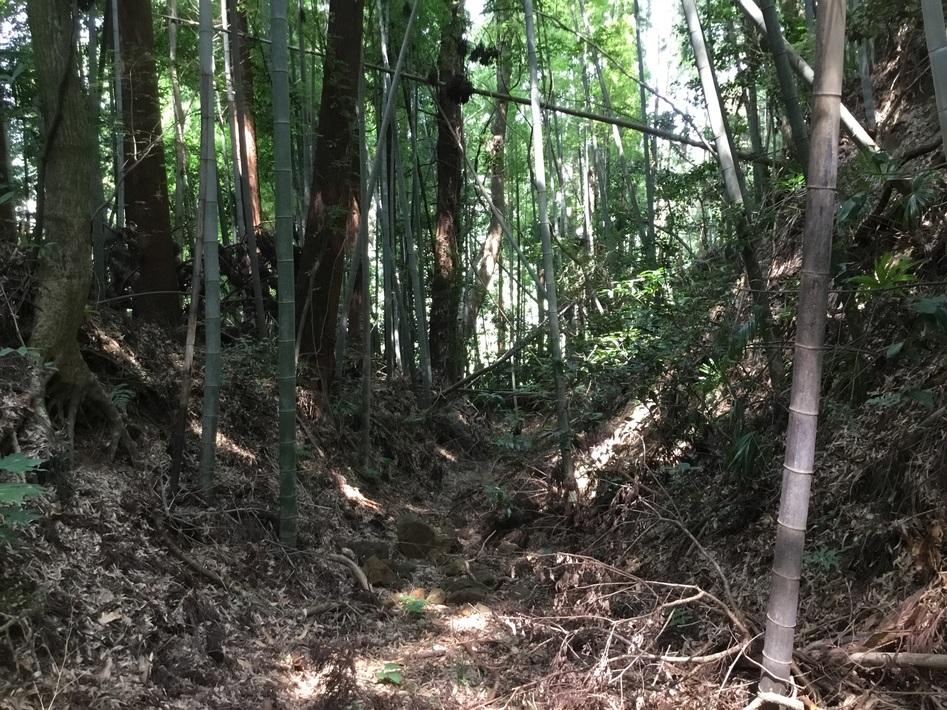 大崎城