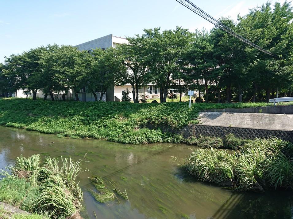 中野城