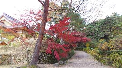 亀山城