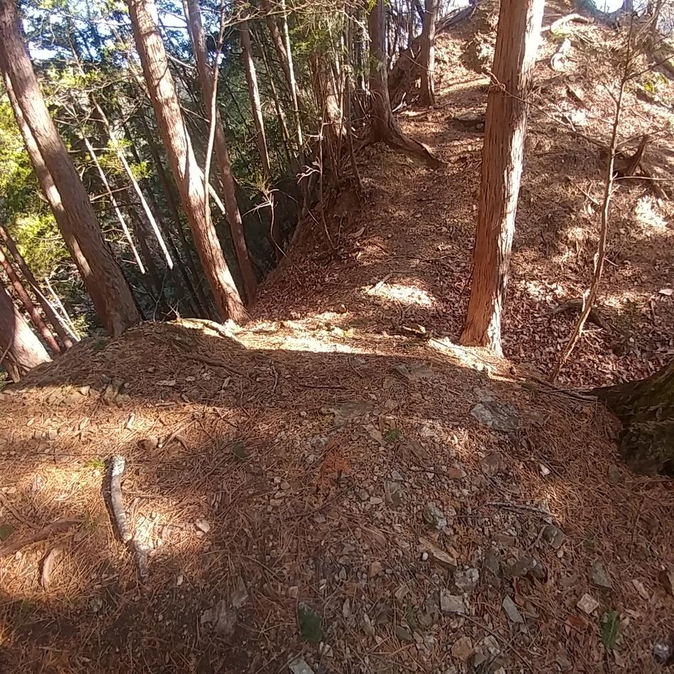 蓬山城