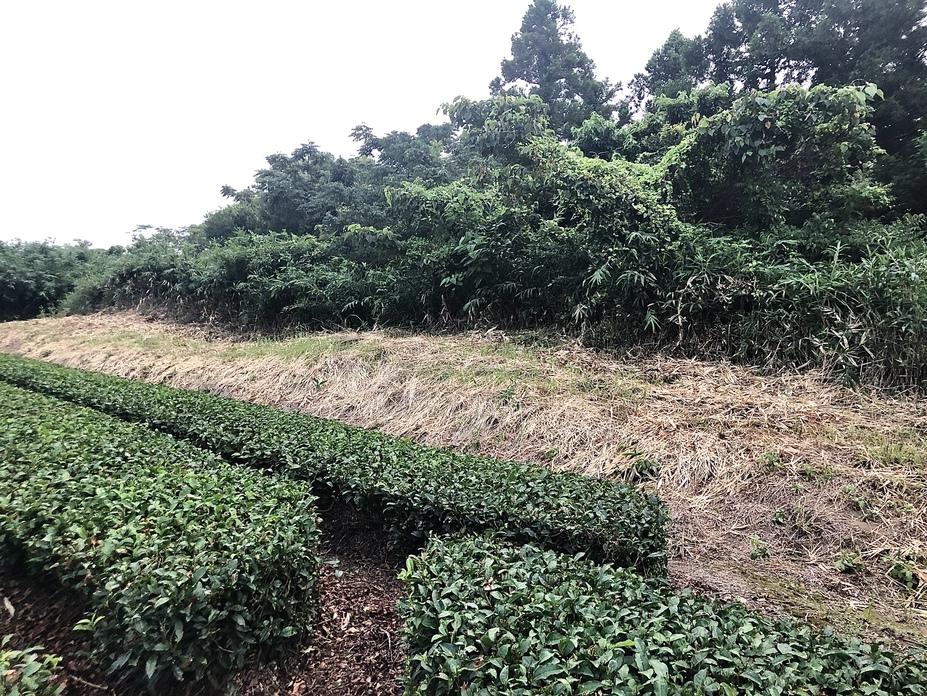 匂坂城