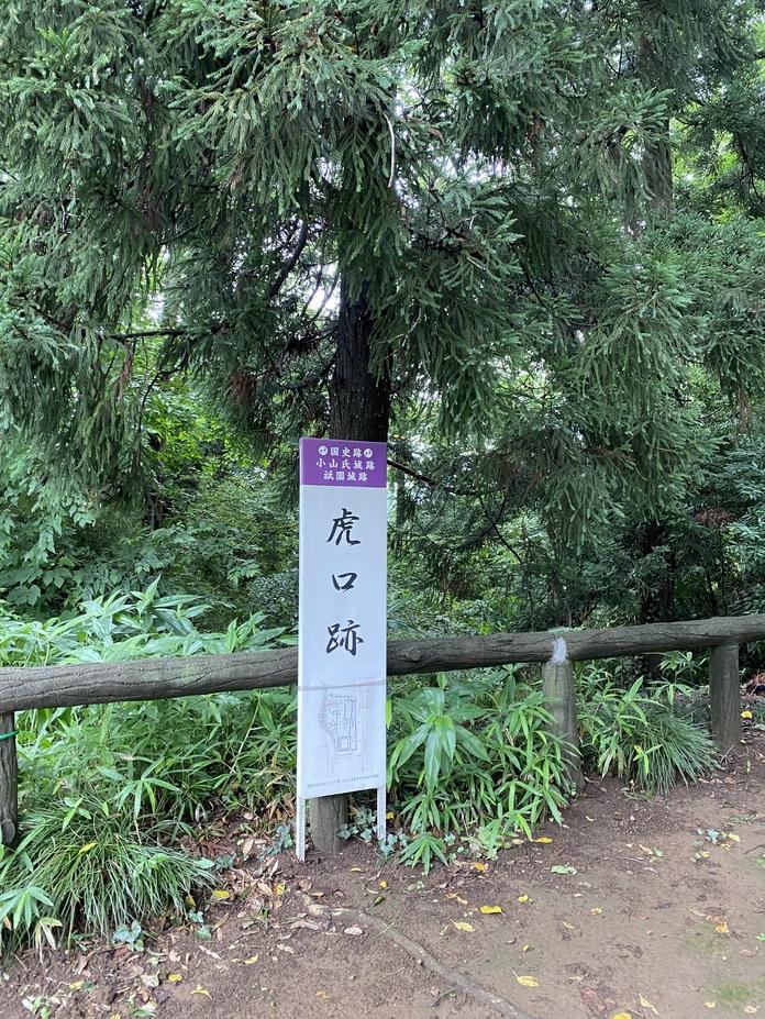 小山城