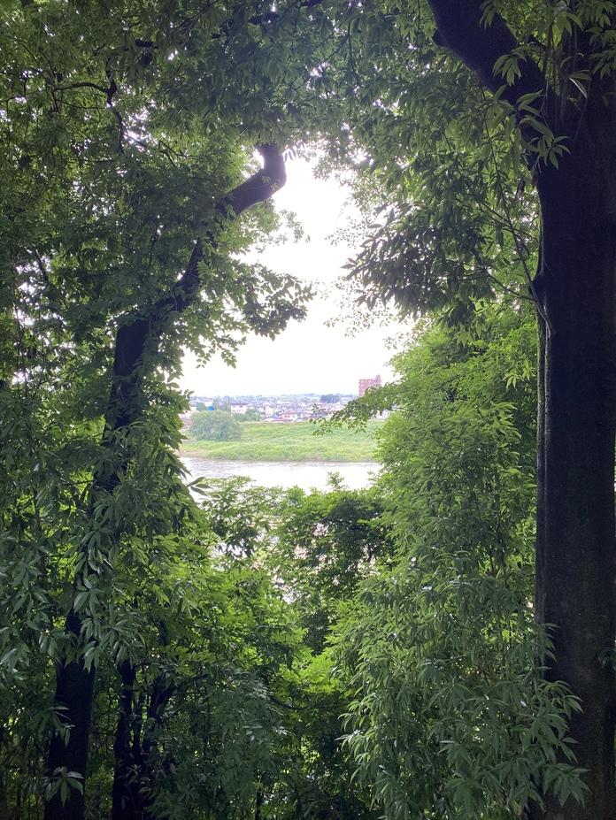 小山城