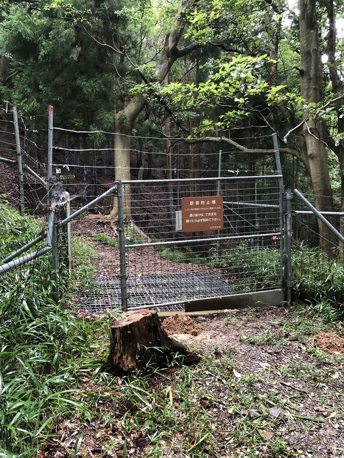 山本山城