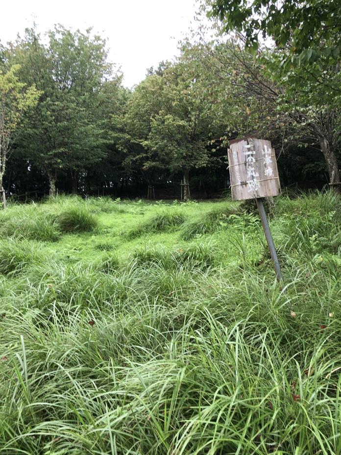 山本山城
