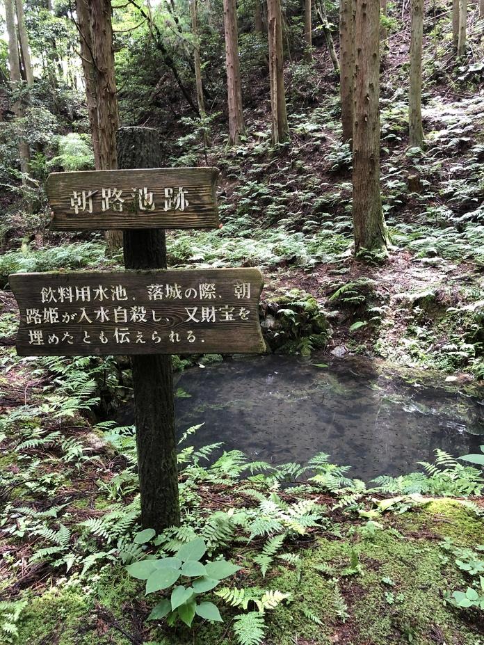 八上城