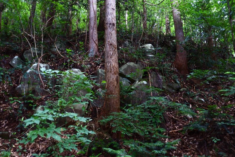 小手森城