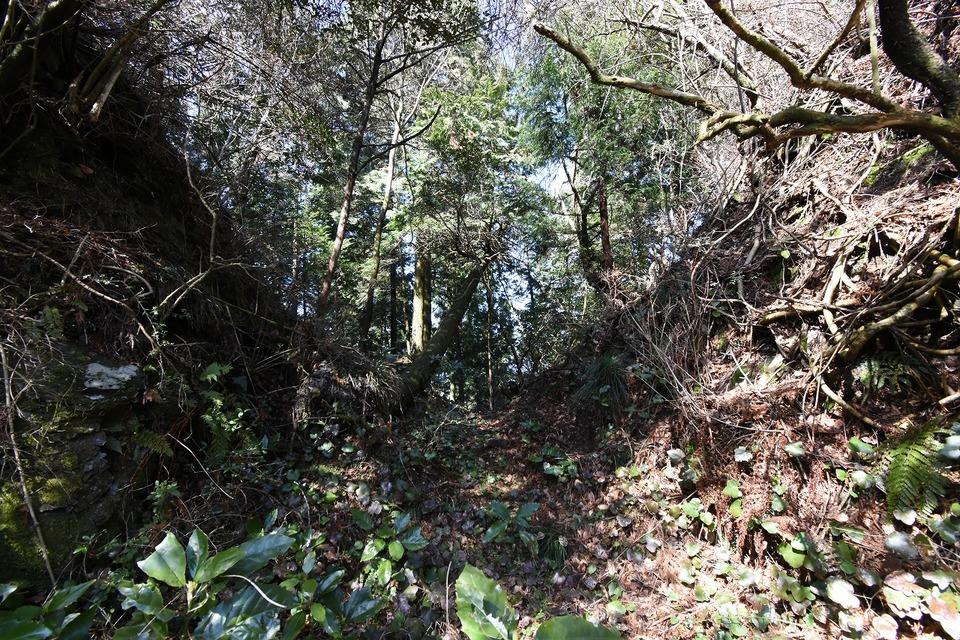 発心城