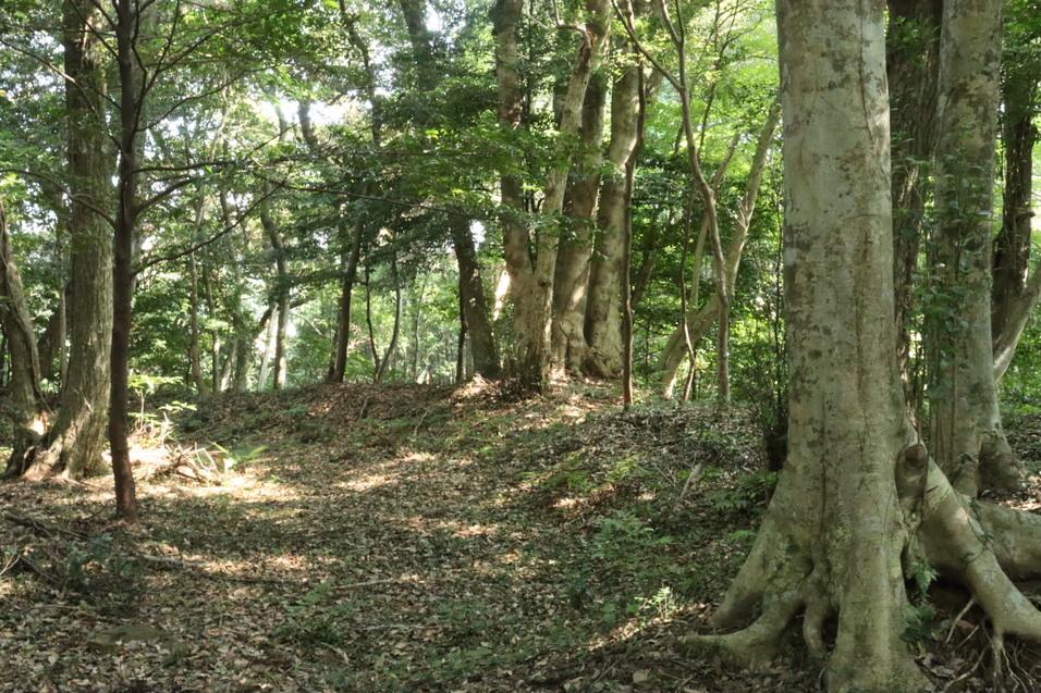 本宮山城
