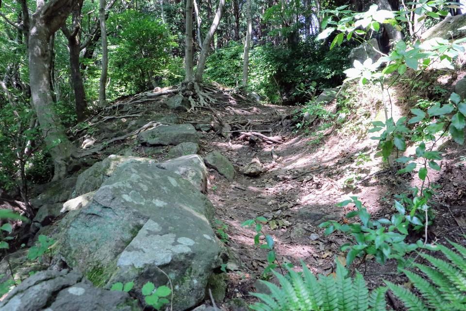 高崎山城