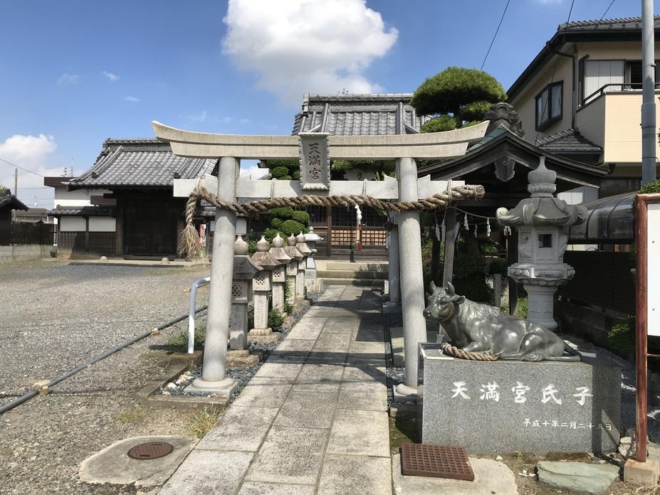 道場城