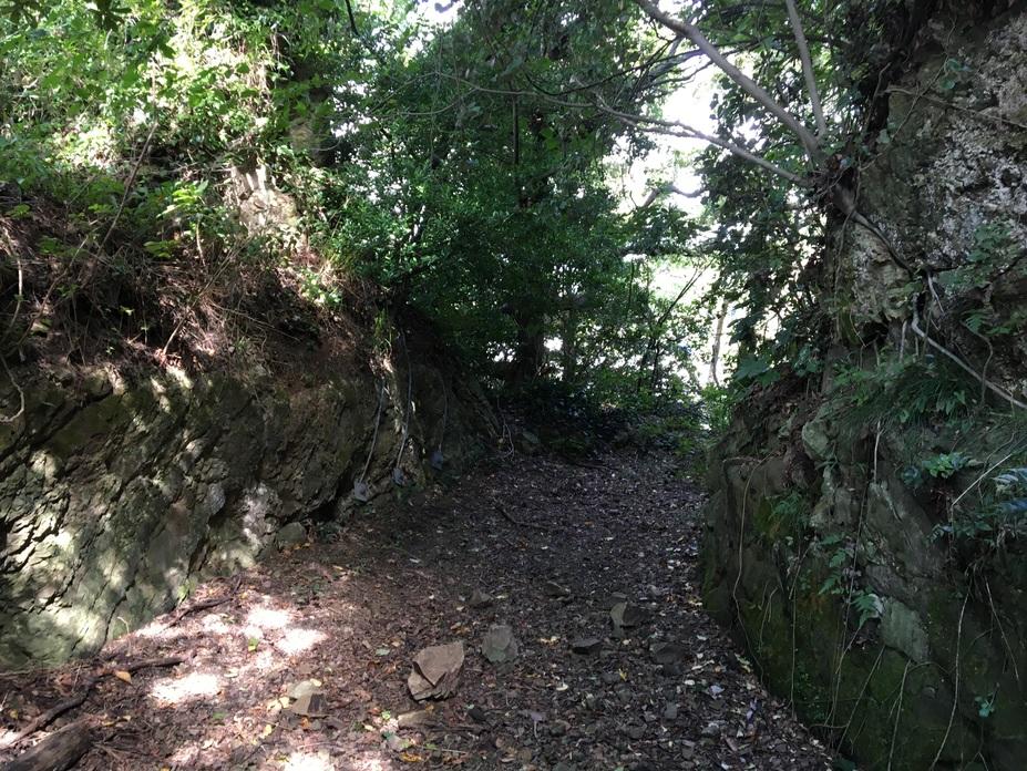 勝山城