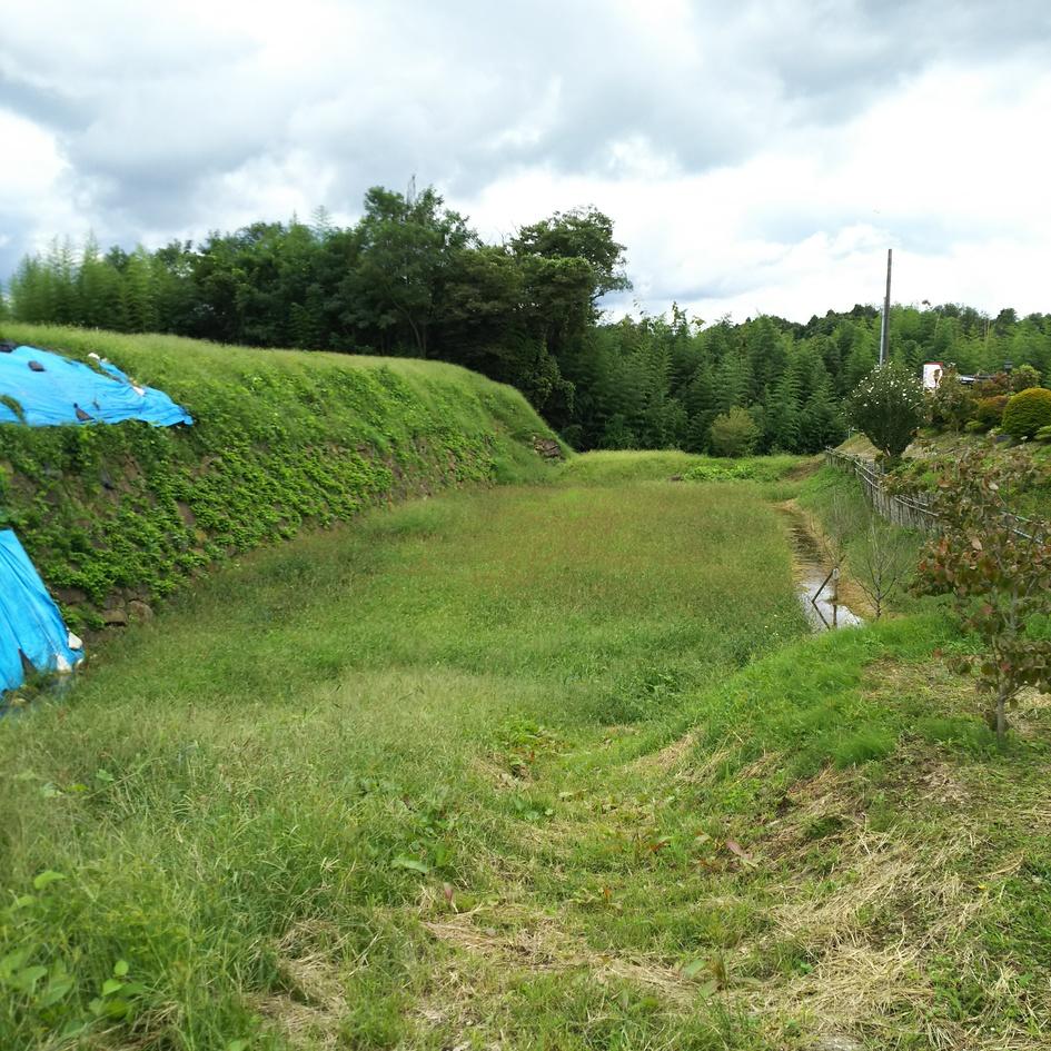 守山城