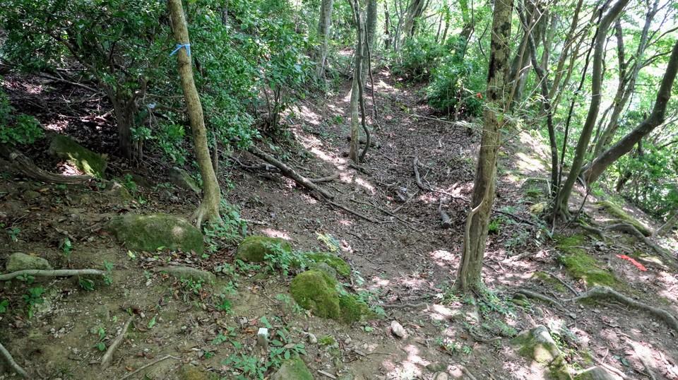 高崎山城