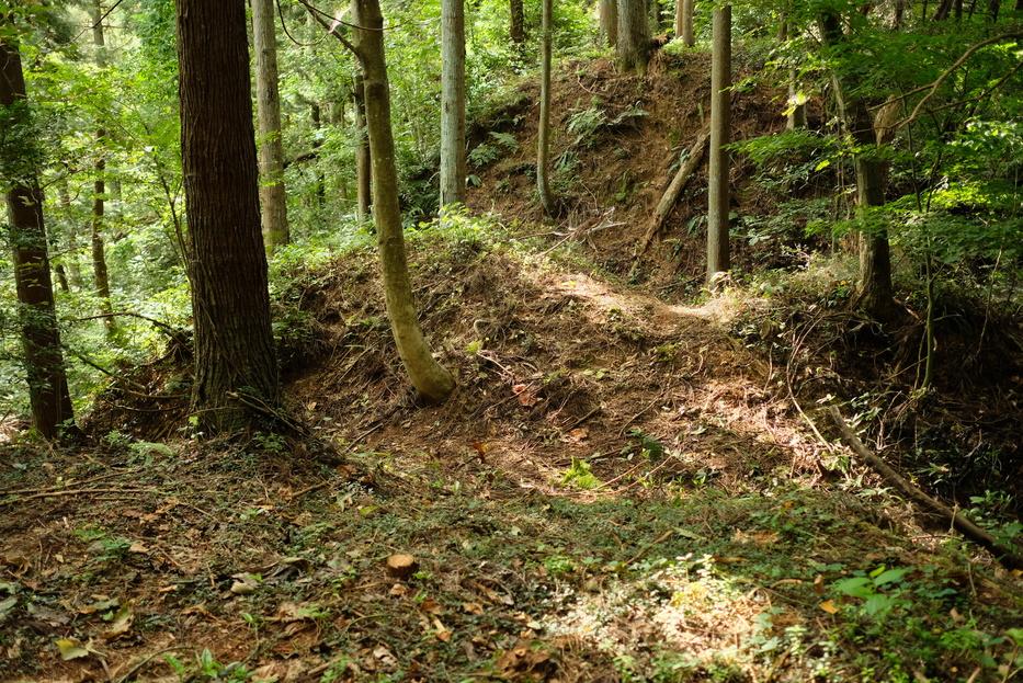 小山城